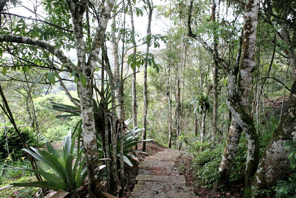 Aroso Paco Hotel Pedra Azul  Eksteriør billede A trail in the park
